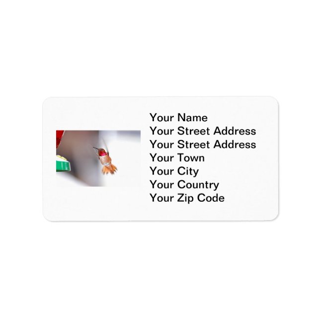 Hummingbird Flying Photo Label (Front)