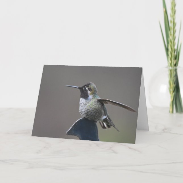 Hummingbird Frameable Art Card (Front)