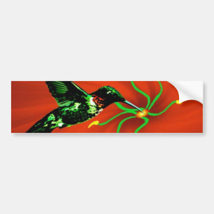 Hummingbird from Heaven Bumper Sticker