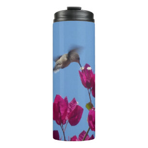 Hummingbird from Peru Tumbler