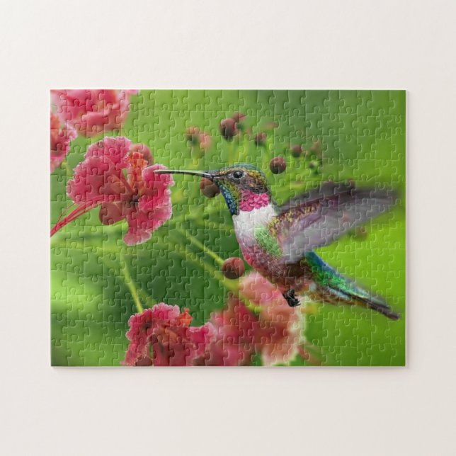 Hummingbird Game Puzzle (Horizontal)