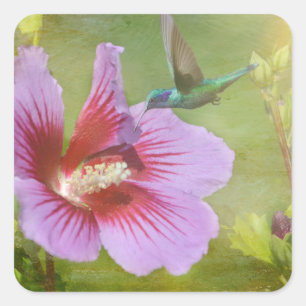 Hummingbird Gathering Nectar Stickers