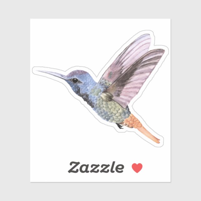  Hummingbird hand drawn (Sheet)