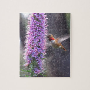 Hummingbird - happy jigsaw puzzle