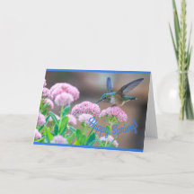 Hummingbird Happy Spring