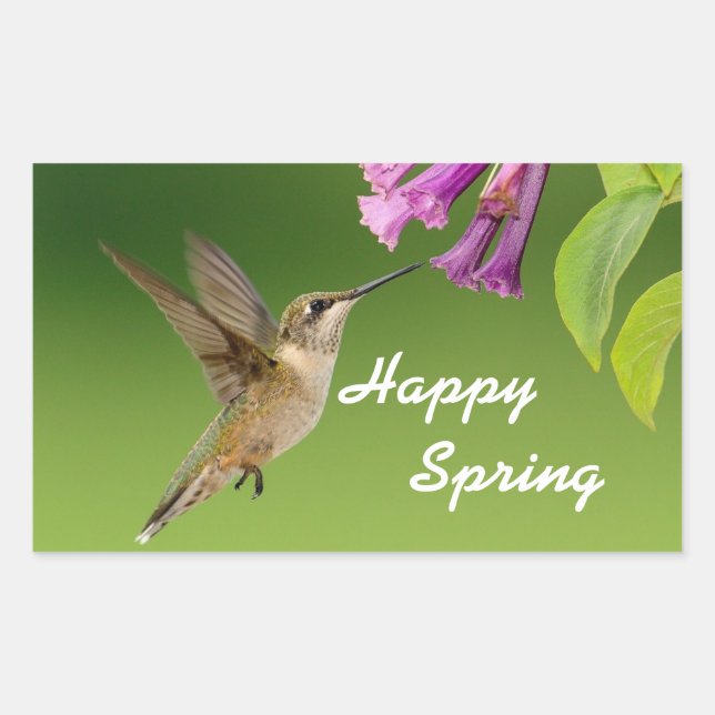 Hummingbird Happy Spring Sticker (Front)