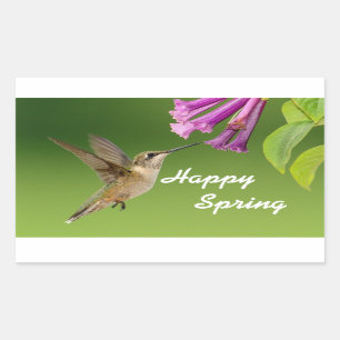 Hummingbird Happy Spring Sticker