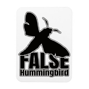 Hummingbird Hawk-Moth Butterfly – Entomology Geek Magnet