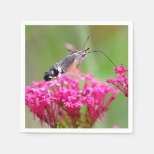 Hummingbird Hawk-moth butterfly in flight Napkin