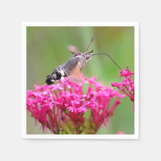 Hummingbird Hawk-moth butterfly in flight  Napkin (Front)