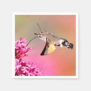 Hummingbird Hawk-moth butterfly in flight Napkin