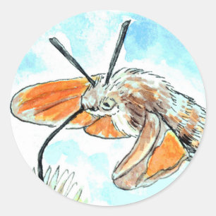 Hummingbird Hawk Moth Painting Classic Round Sticker