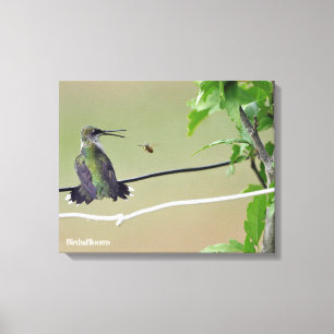 Hummingbird & Honey Bee Canvas Print