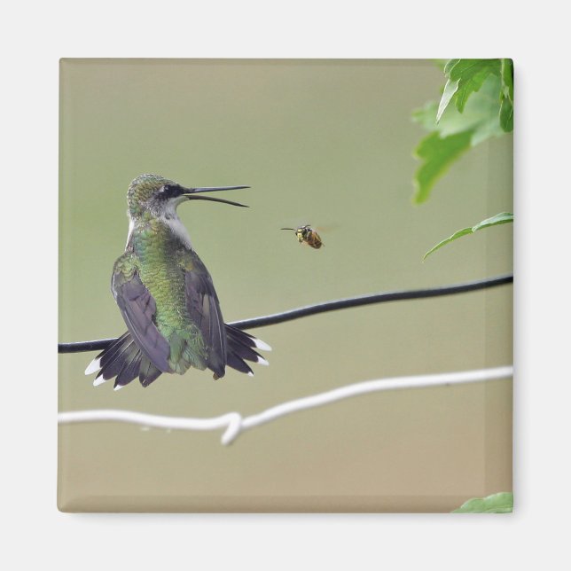 Hummingbird & Honey Bee Magnet (Front)