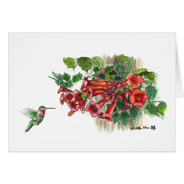 Hummingbird honeysuckle (Front Horizontal)