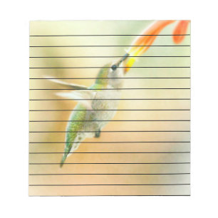 Hummingbird in Early Morning light Notepad