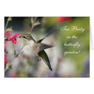 Hummingbird in Flight