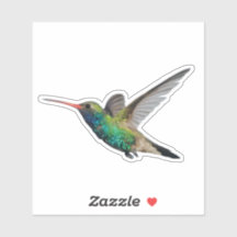 Hummingbird in Flight