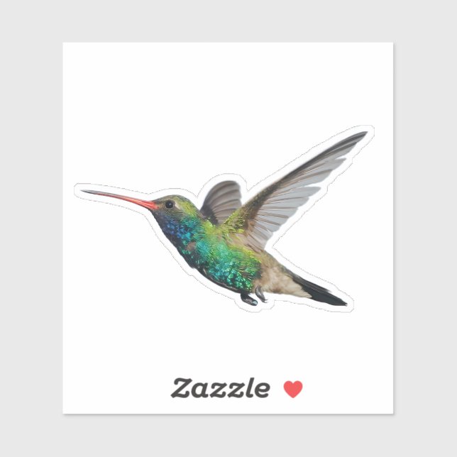 Hummingbird in Flight (Sheet)