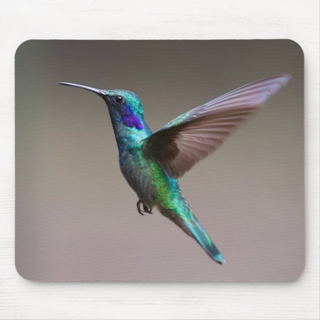 Hummingbird in Flight Mouse Pad (Front)