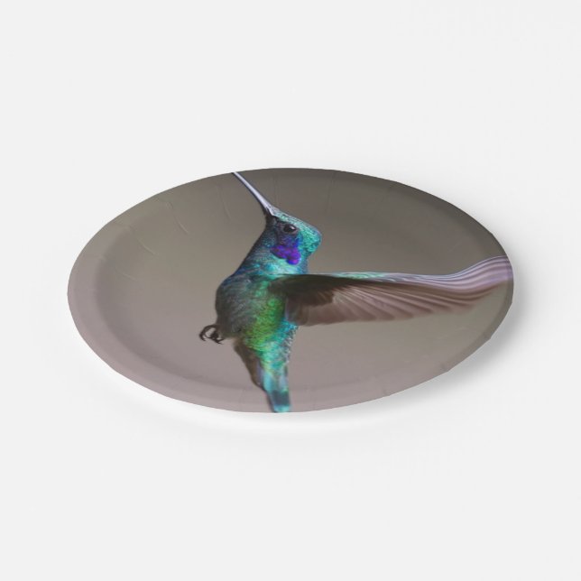 Hummingbird in Flight Paper Plate (Angled)