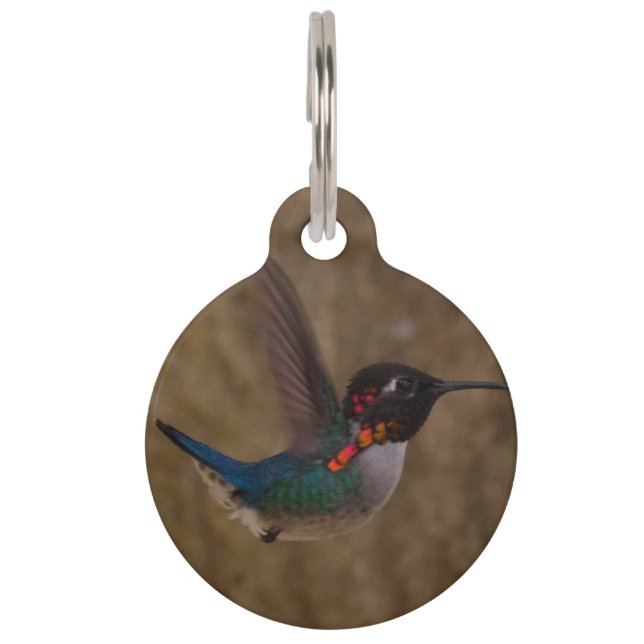 Hummingbird in Flight Pet Tag (Front)
