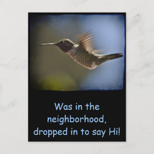 Hummingbird in Flight Postcard