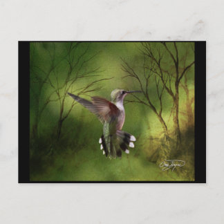 Hummingbird in Flight Postcard