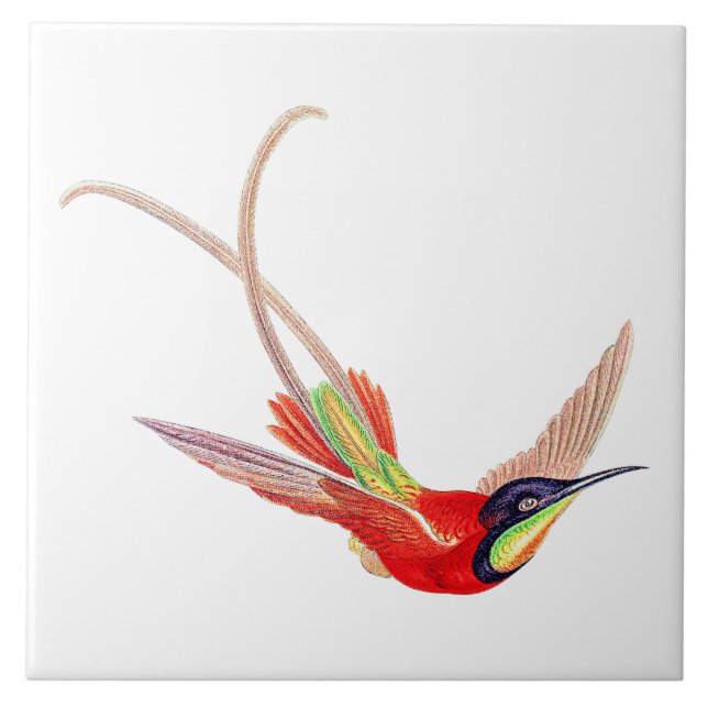 Hummingbird in Flight Tile (Front)