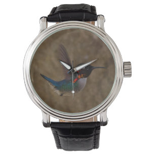 Hummingbird in Flight Watch