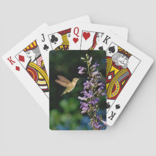 Hummingbird In Flight With Flowers Playing Cards