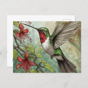 Hummingbird in Flight with Red Trumpet Vine Postcard