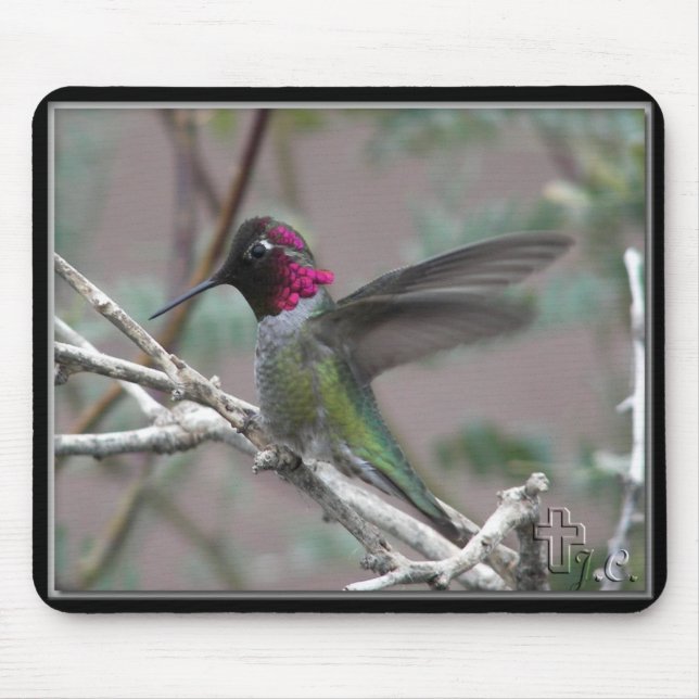 Hummingbird In My Backyard. Mouse Pad (Front)