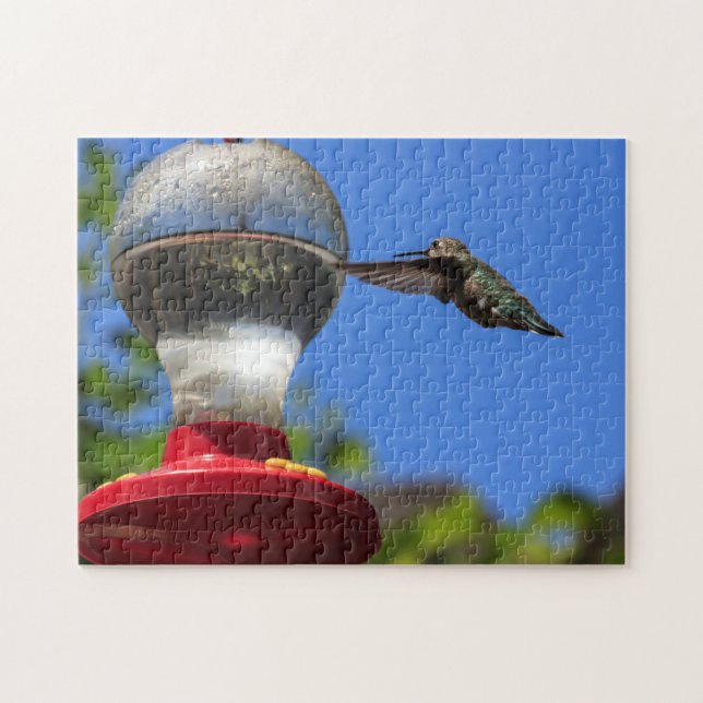 Hummingbird Inspecting a Feeder Puzzle (Horizontal)