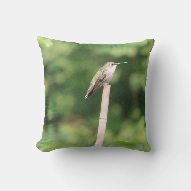 Hummingbird Inspired Design Throw Pillow (Front)