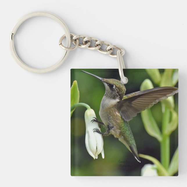 Hummingbird Keychain (Front)