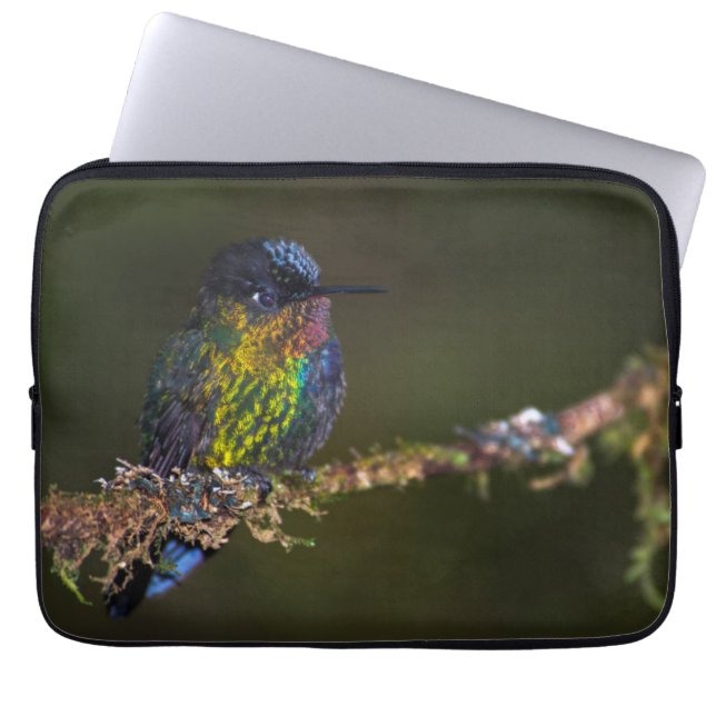 Hummingbird Laptop Sleeve (Front)