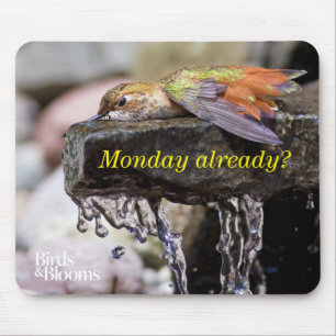 Hummingbird  Laying in Water 2 Mouse Pad