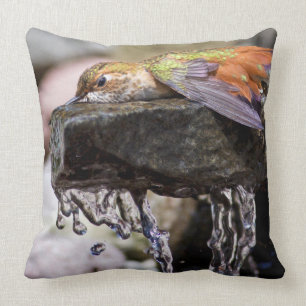 Hummingbird  Laying in Water 2 Throw Pillow