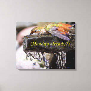 Hummingbird  Laying in Water Canvas Print