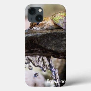 Hummingbird  Laying in Water iPhone 13 Case