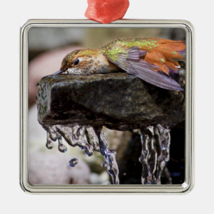 Hummingbird Laying in Water Metal Ornament