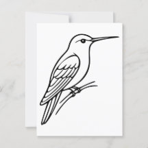 Hummingbird Line Art – Bird Illustration
