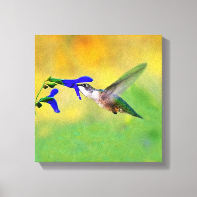 Hummingbird Lunch Canvas Print (Front)