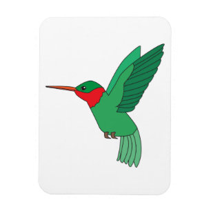 Hummingbird Magnet