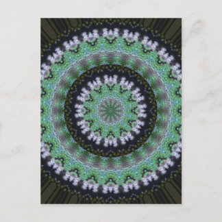Hummingbird Mandala Postcard