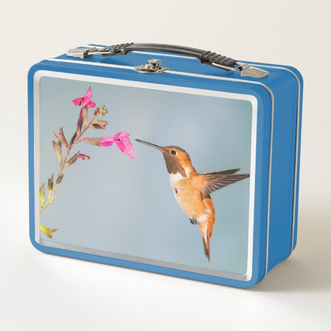Hummingbird Metal Lunch Box (Front)