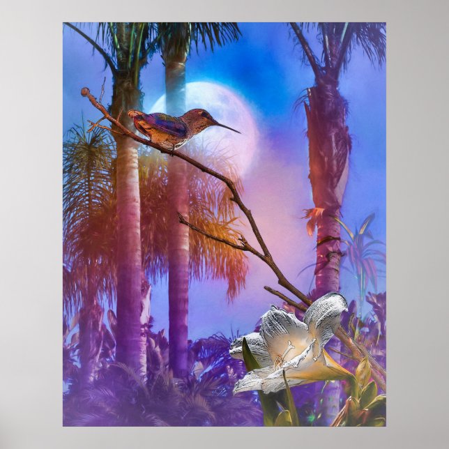 HUMMINGBIRD MOONLIGHT OASIS POSTER (Front)