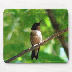 Hummingbird Morning Mouse Pad