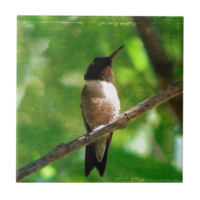 Hummingbird Morning Tile (Front)